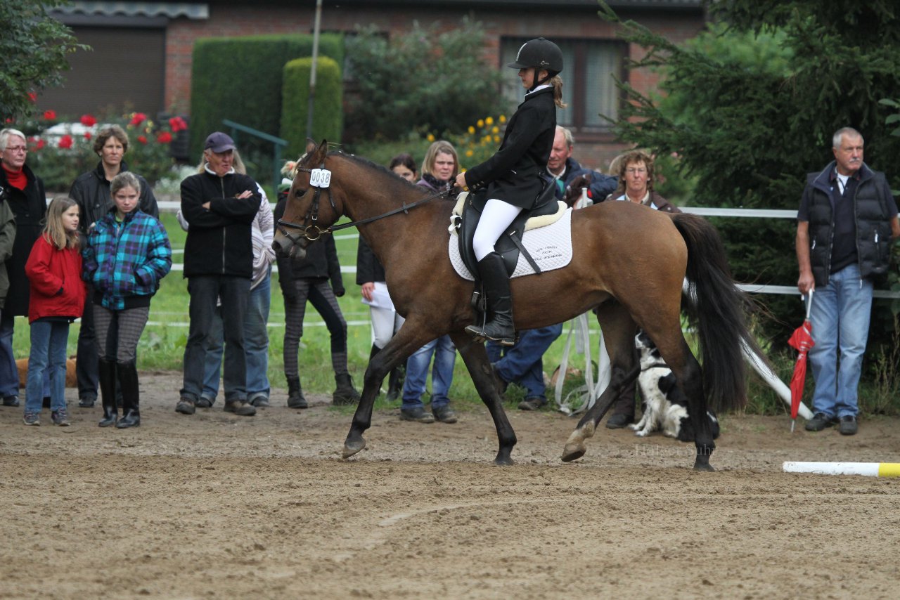 Bild 910 - WBO-Turnier am 18.9.11
